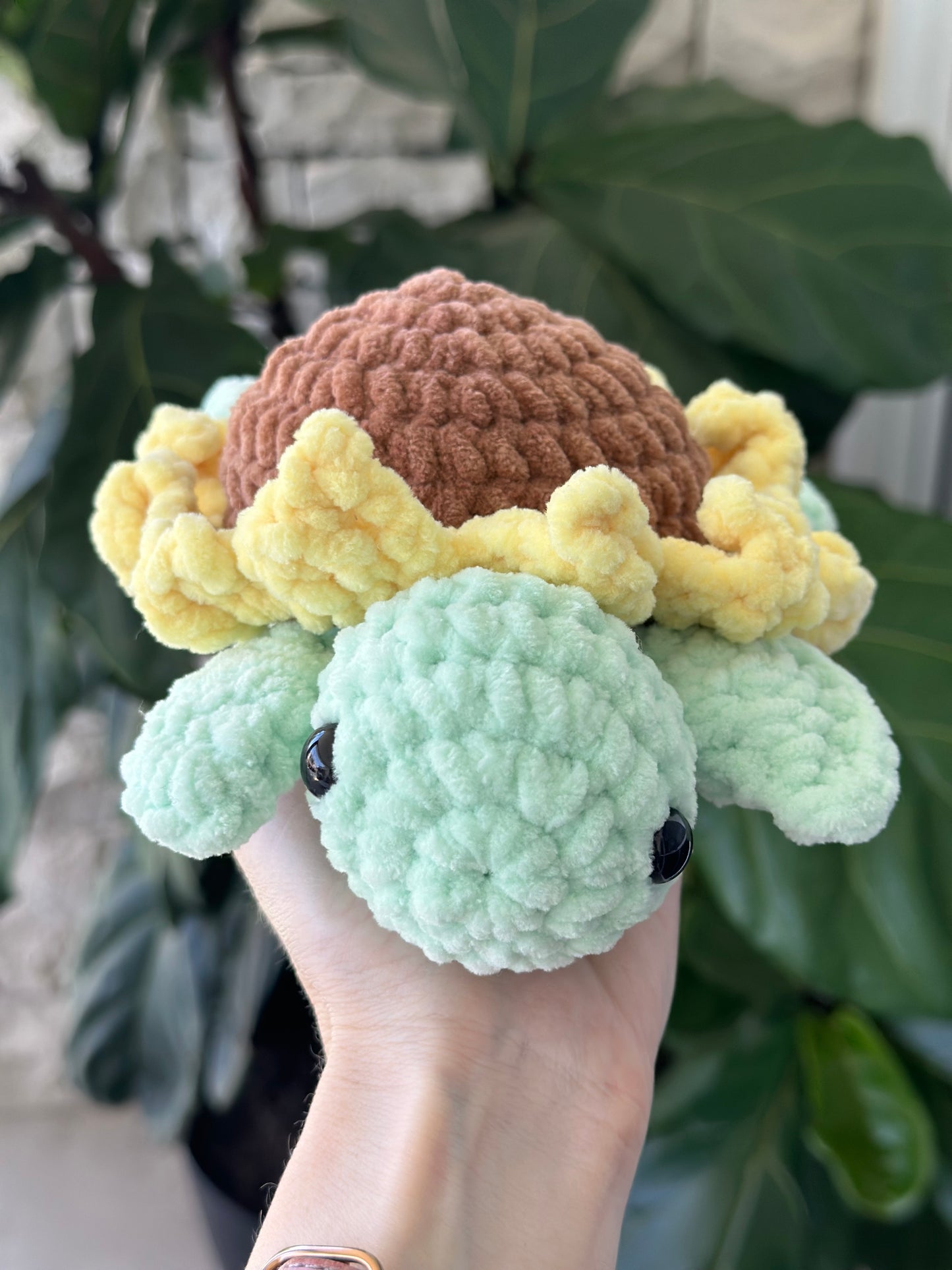 Sunflower Turtle