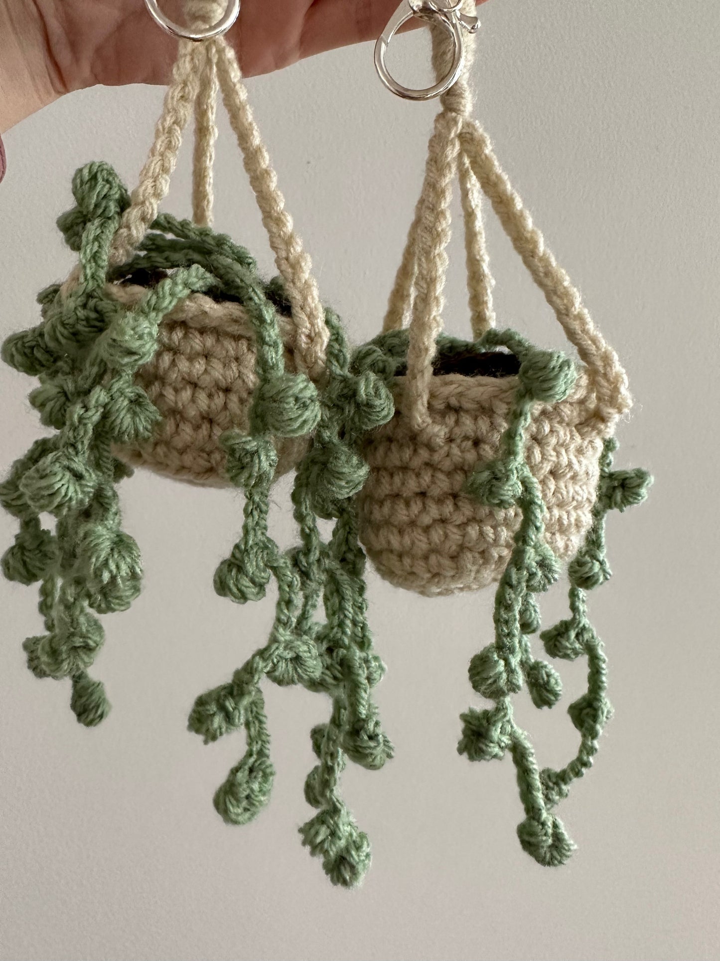 Mini Hanging Plant keychain