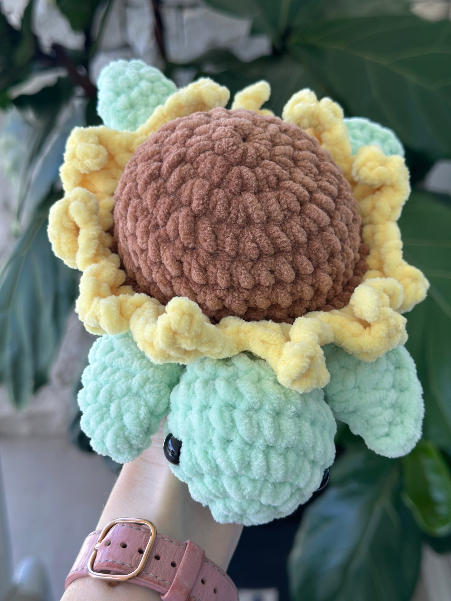 Sunflower Turtle