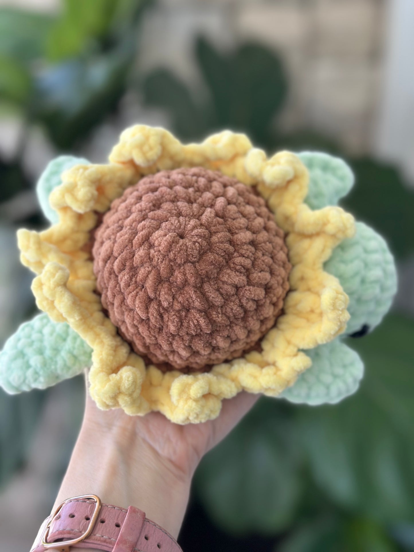Sunflower Turtle