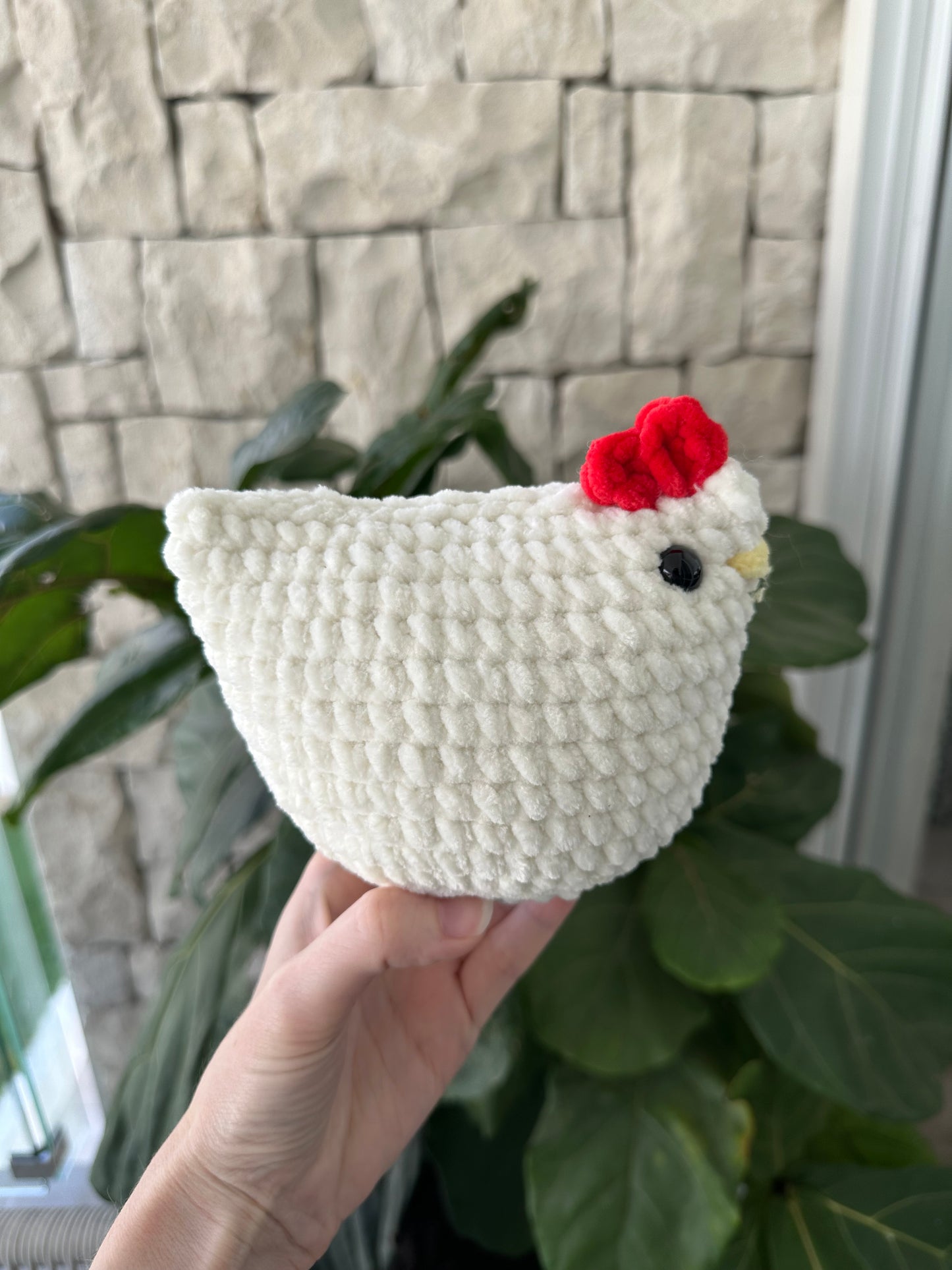 Large chicken