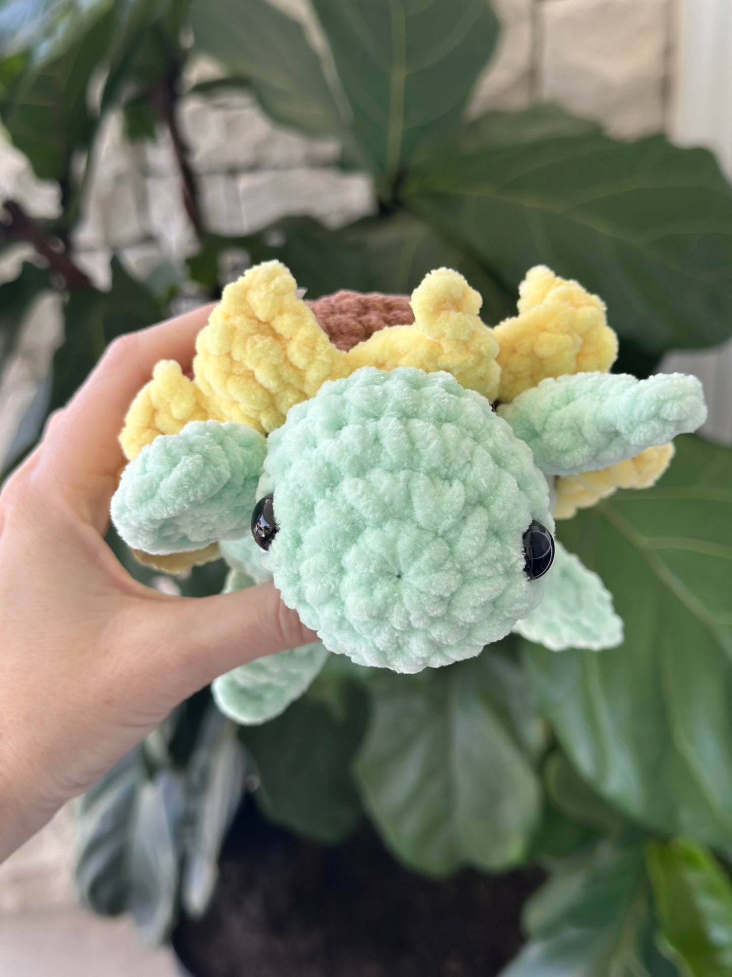 Sunflower Turtle