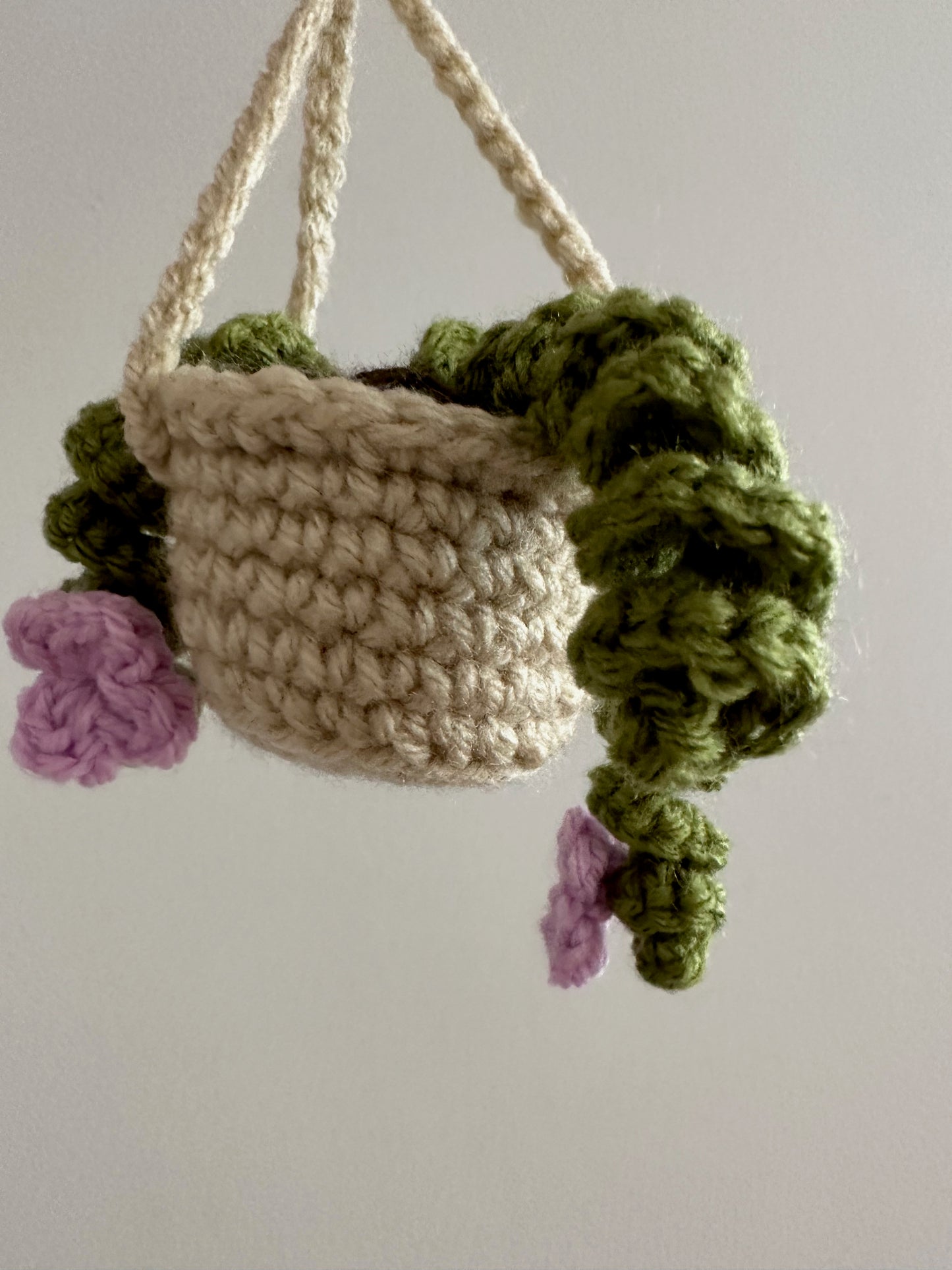 Mini Hanging Plant keychain