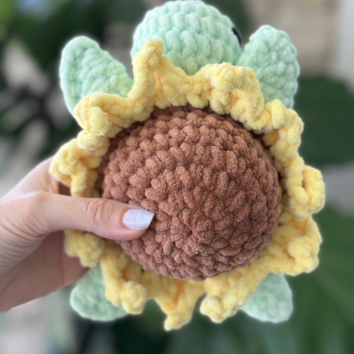 Sunflower Turtle