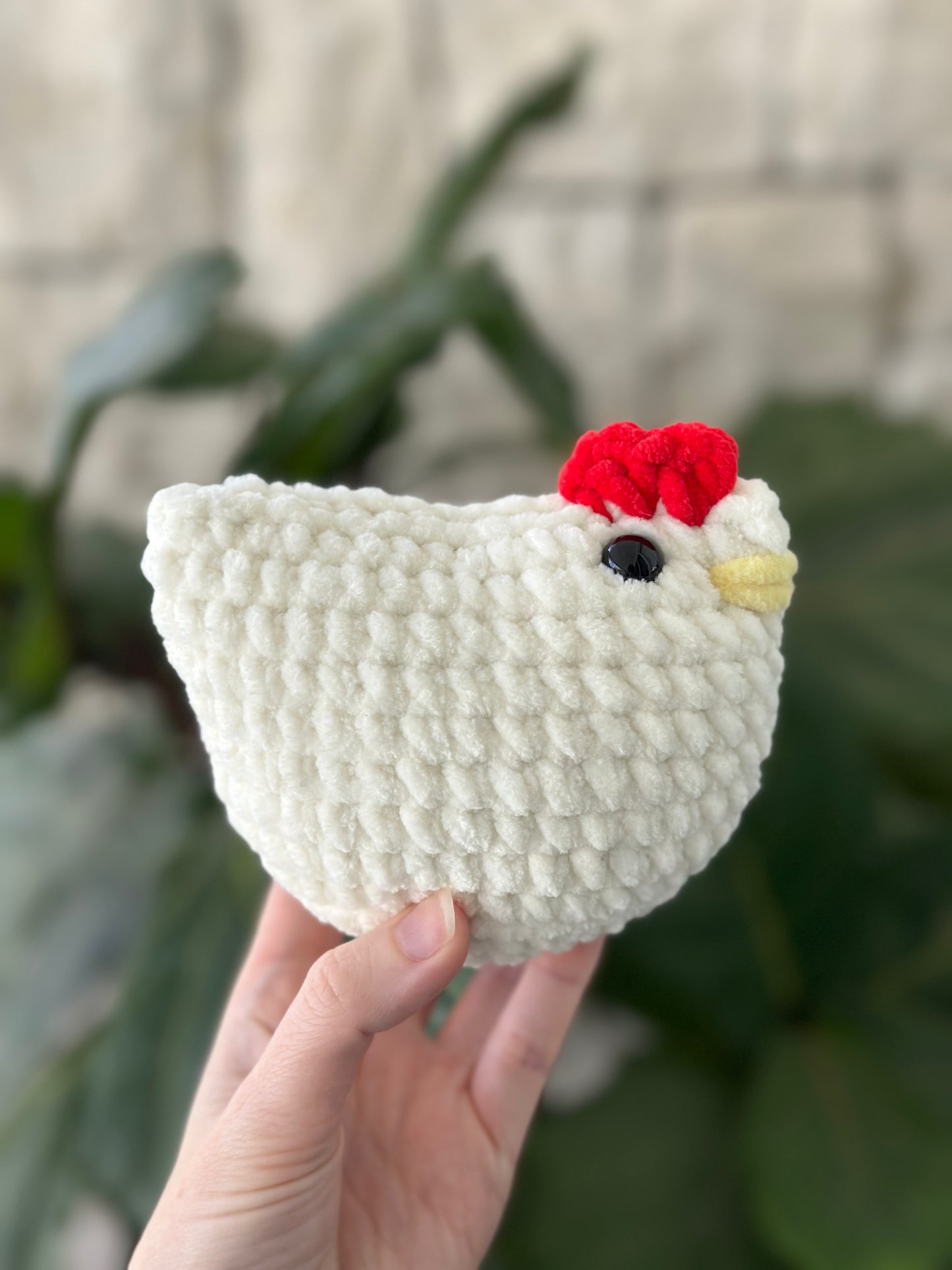 Medium chicken